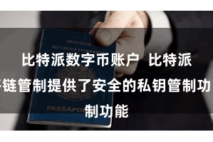 比特派数字币账户  比特派多链管制提供了安全的私钥管制功能
